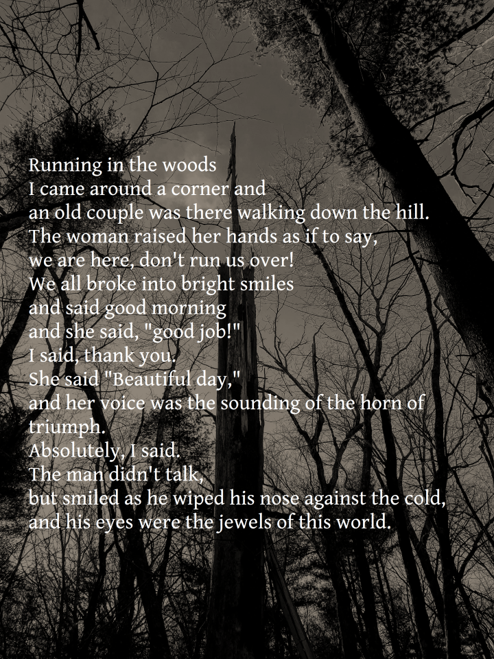 running in the woods